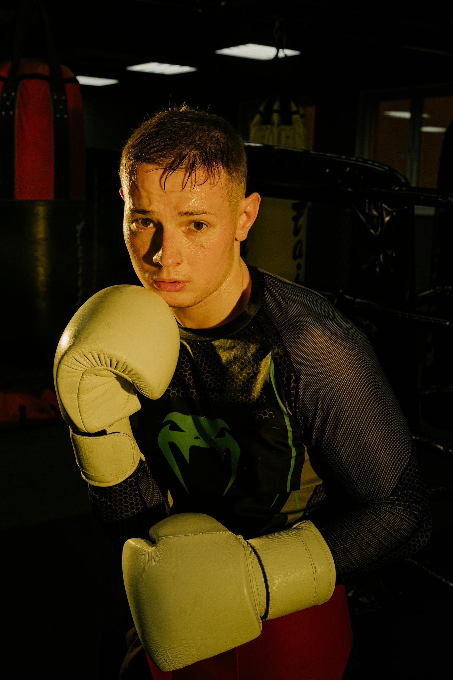 Focused young boxer in full boxing workout equipment posing in guard stance under gym lights—symbolizing the Fereli Code’s values of preparation, discipline, and the boxer champion mindset.