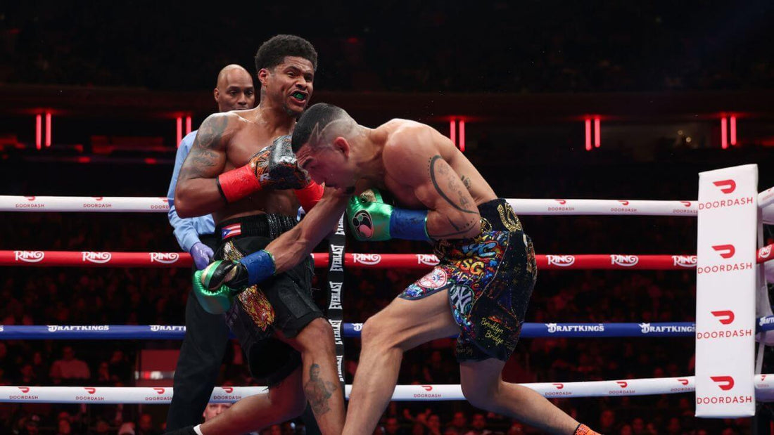 Professional boxing match showing fighters exchanging punches in the ring, illustrating the difference between pro fight gloves and training gloves in live competition.