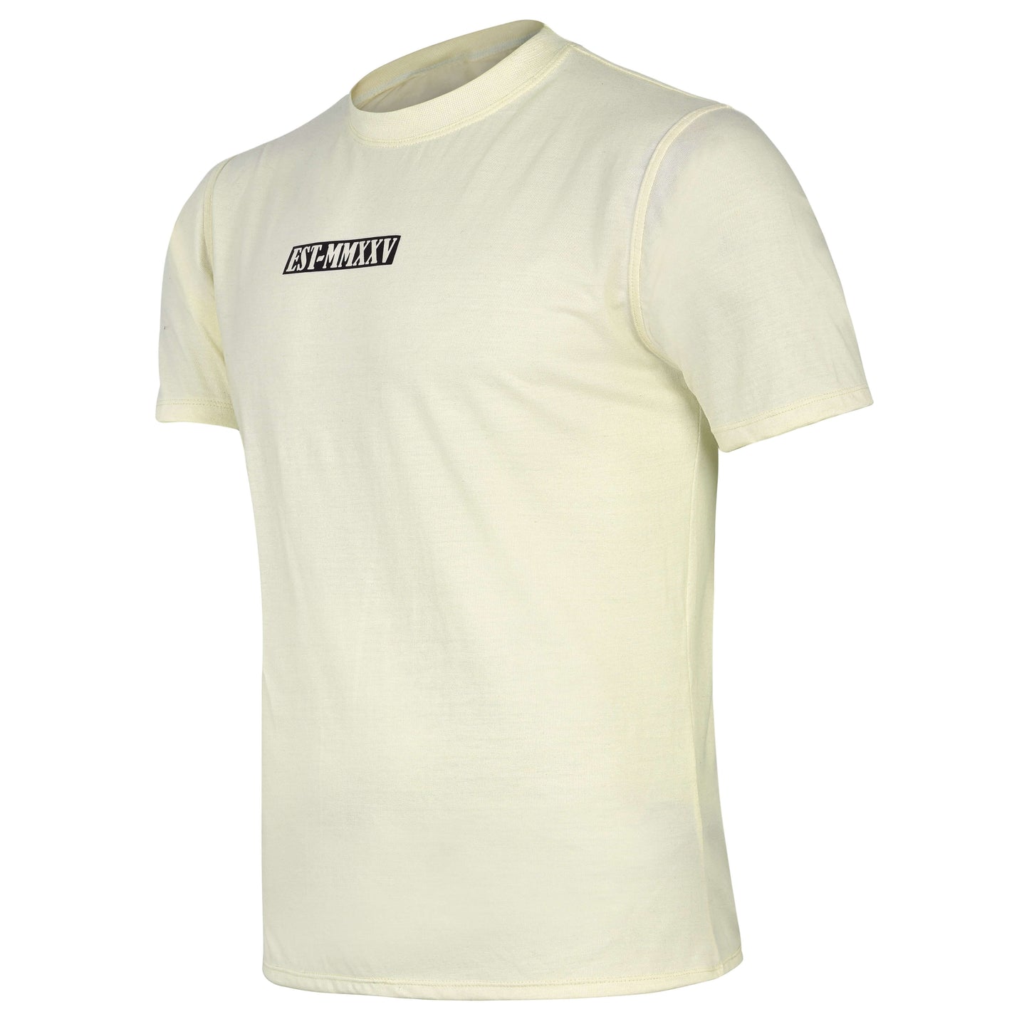 fereli-core-t-shirt-boxing-t-shirt-angled