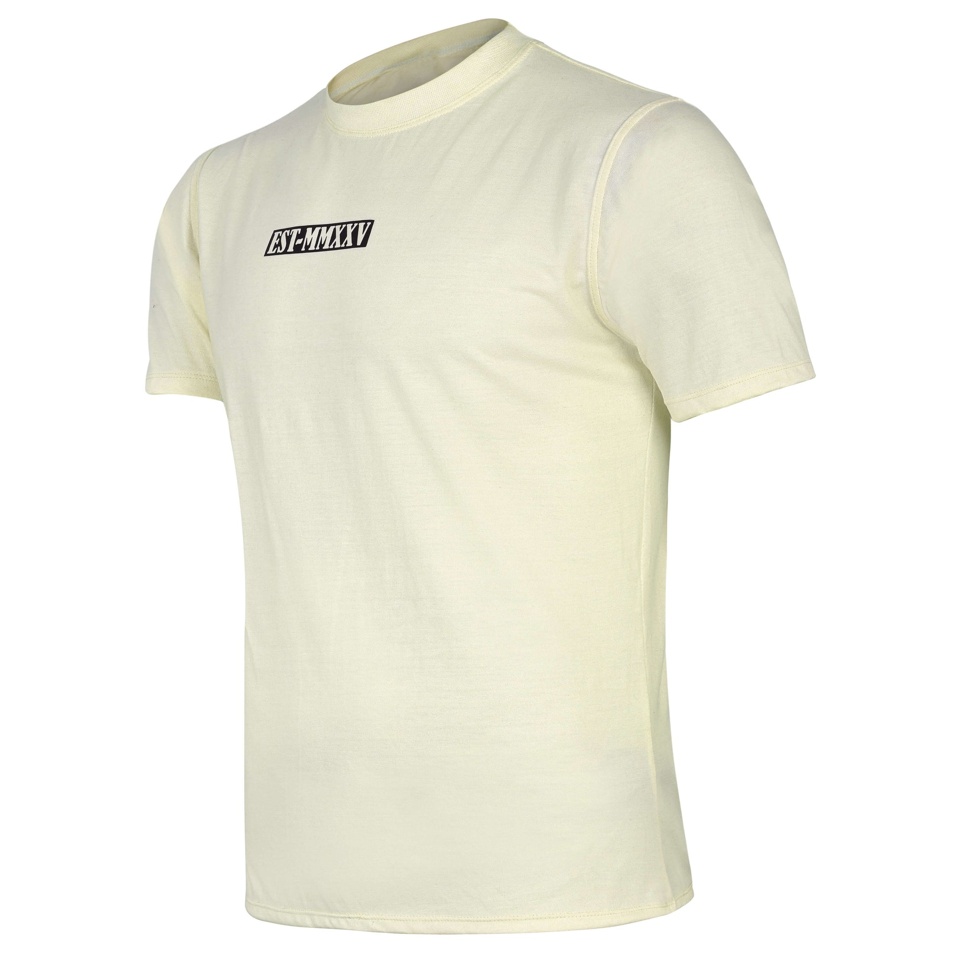 fereli-core-t-shirt-boxing-t-shirt-angled