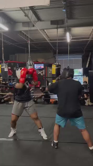 A video showing a boxer sparring his training partner whilst wearing Fereli Ludus boxing gloves.
