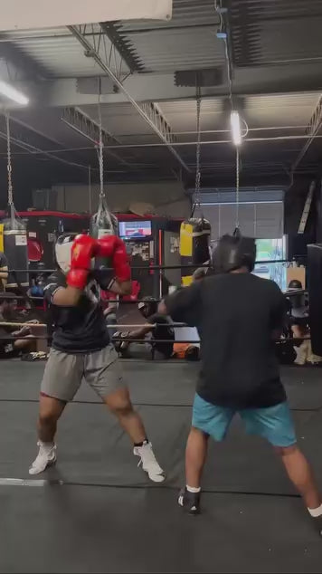 A video showing a boxer sparring his training partner whilst wearing Fereli Ludus boxing gloves.