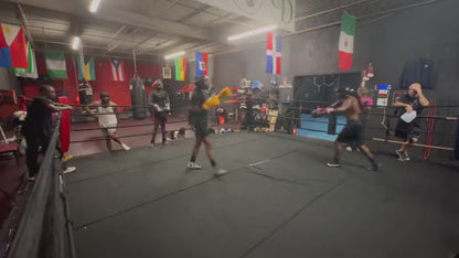 A video of two boxers sparring and one of them is wearing our Fereli Emberlight gloves.
